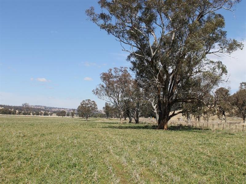 The Rock, Coolah NSW 2843