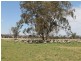 The Rock, Coolah NSW 2843