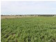 The Rock, Coolah NSW 2843