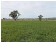 The Rock, Coolah NSW 2843