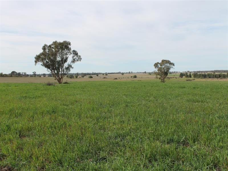 The Rock, Coolah NSW 2843