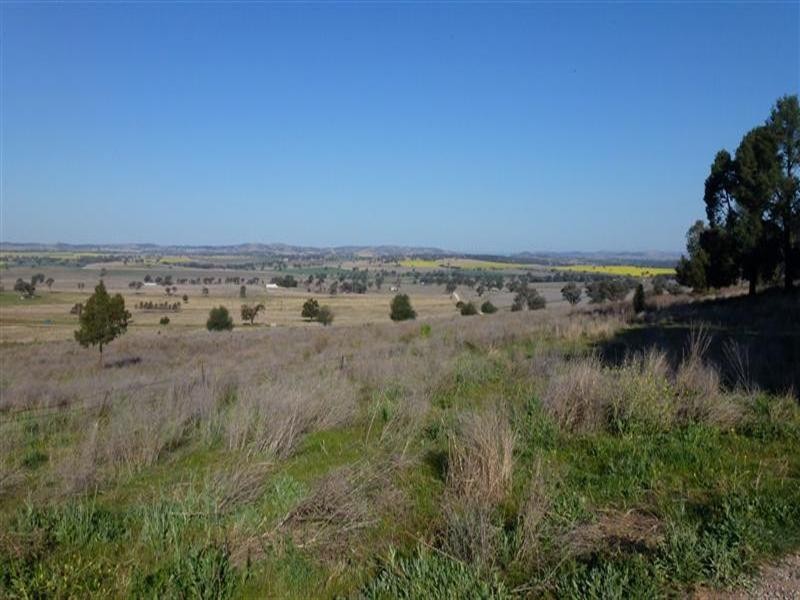 142 Tarwong Lane, Geurie NSW 2831