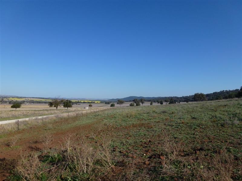 142 Tarwong Lane, Geurie NSW 2831