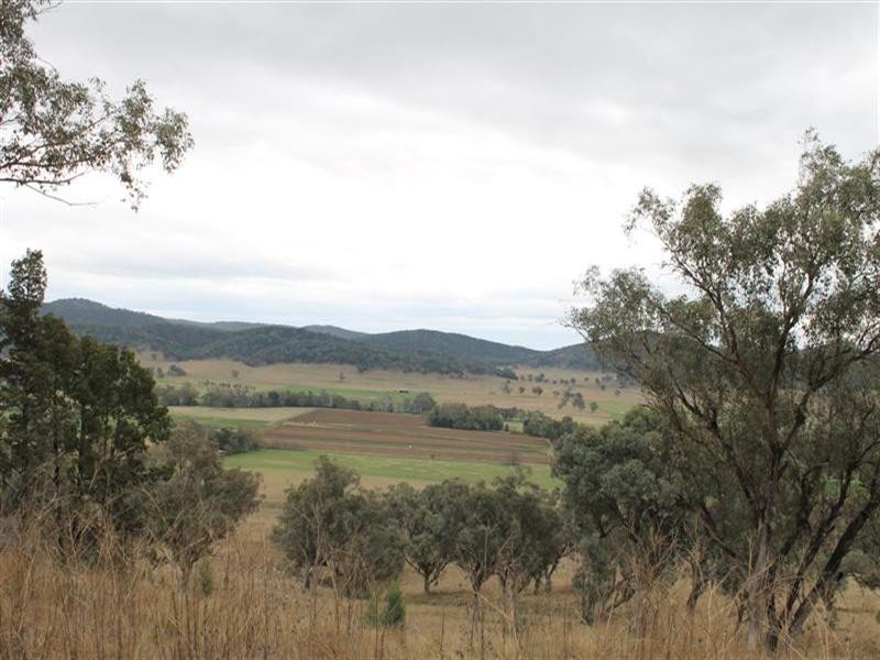 “Hill Paddock”, Wellington NSW 2820