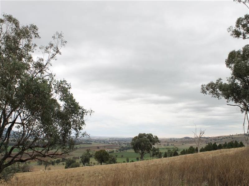 “Hill Paddock”, Wellington NSW 2820