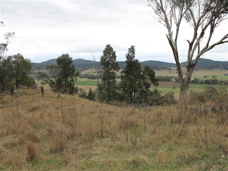 “Hill Paddock”, Wellington NSW 2820