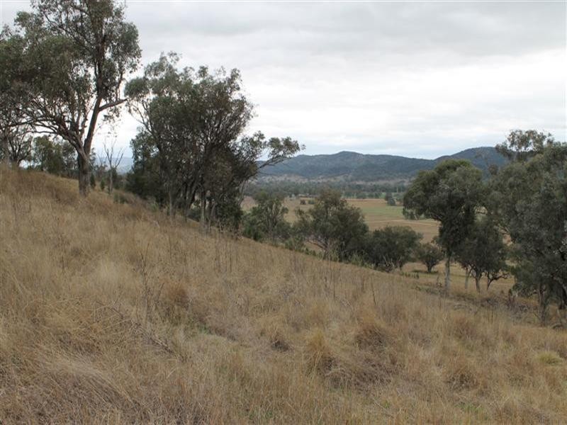 “Hill Paddock”, Wellington NSW 2820