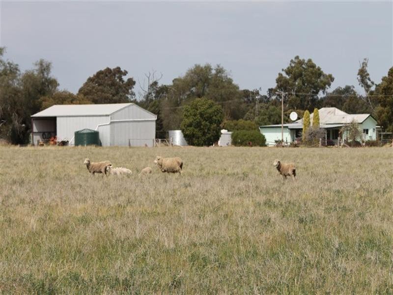 Brenford Wards Road, Tomingley NSW 2869