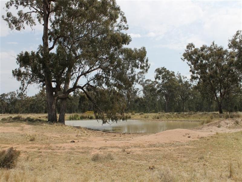 Brenford Wards Road, Tomingley NSW 2869