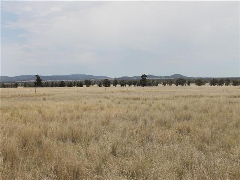 Brenford Wards Road, Tomingley NSW 2869