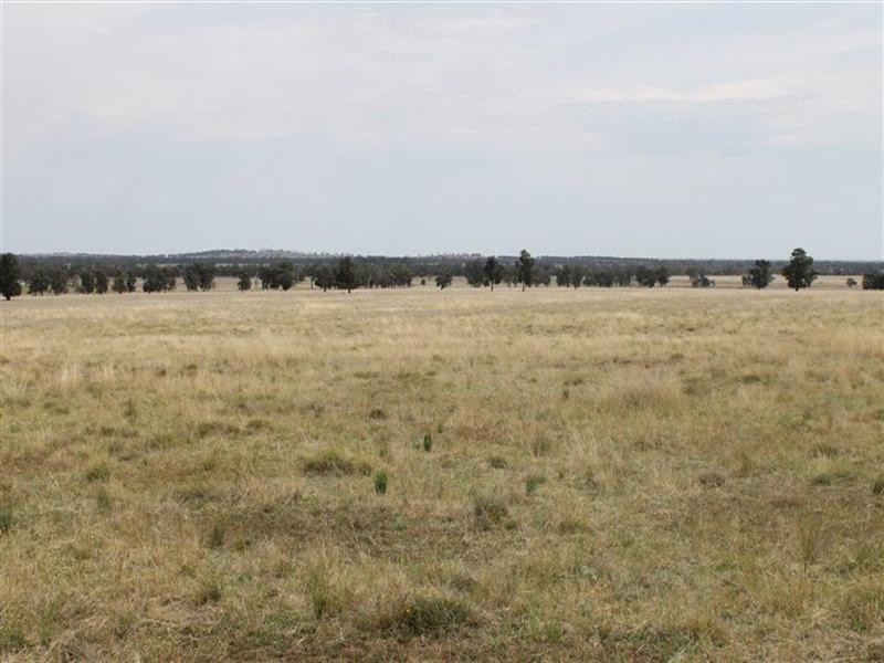 Brenford Wards Road, Tomingley NSW 2869