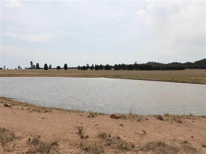 Brenford Wards Road, Tomingley NSW 2869