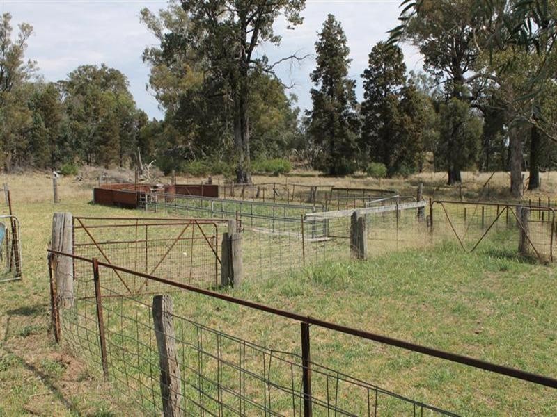 Brenford Wards Road, Tomingley NSW 2869