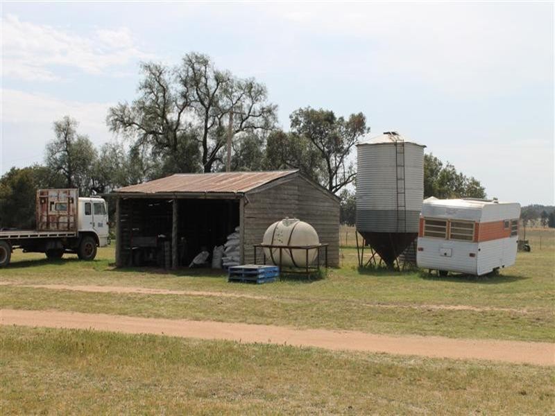 Brenford Wards Road, Tomingley NSW 2869