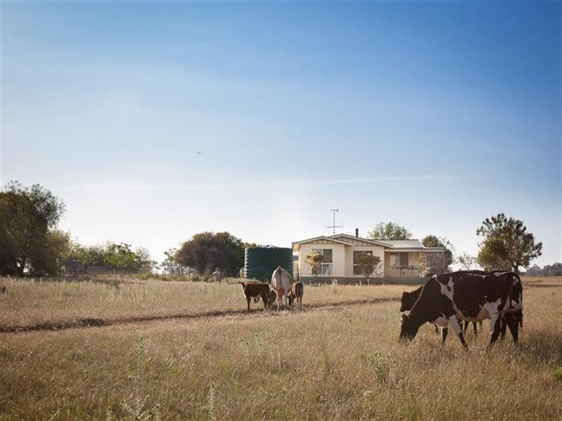 8 Tarwong Lane, Geurie NSW 2831