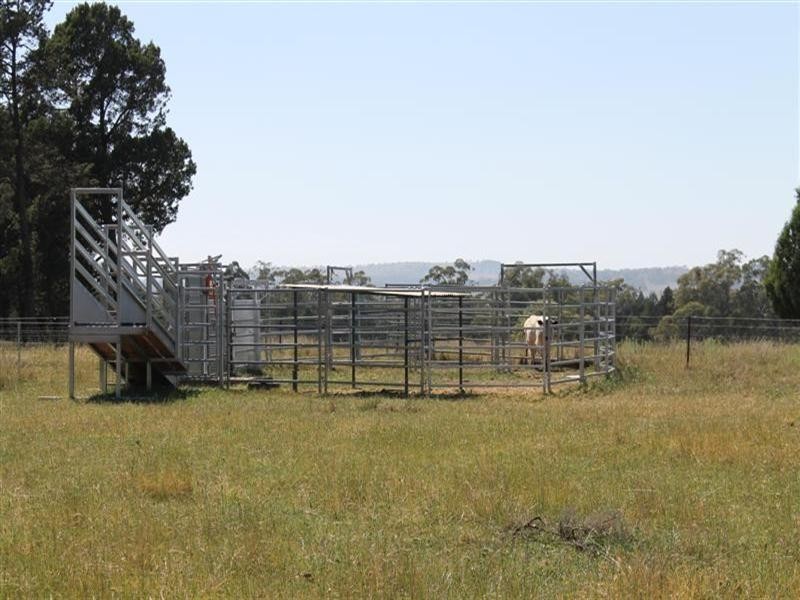 165 Old Dubbo Road, Geurie, Dubbo NSW 2830