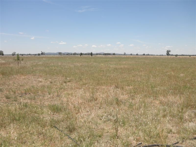 170 Villeneuve Drive, Narromine NSW 2821