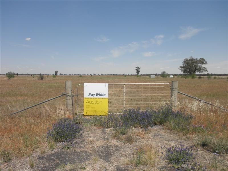 170 Villeneuve Drive, Narromine NSW 2821