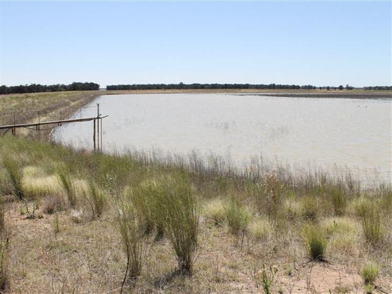 “Maranoa” Station, Collie NSW 2827