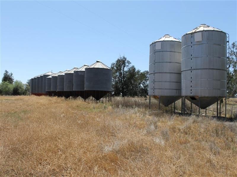 “Maranoa” Station, Collie NSW 2827