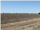 “Maranoa” Station, Collie NSW 2827