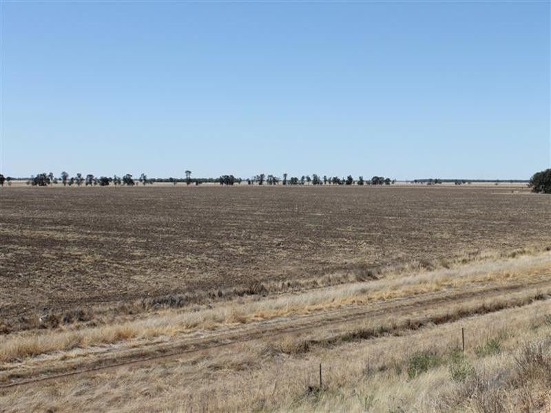 “Maranoa” Station, Collie NSW 2827