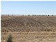 “Maranoa” Station, Collie NSW 2827