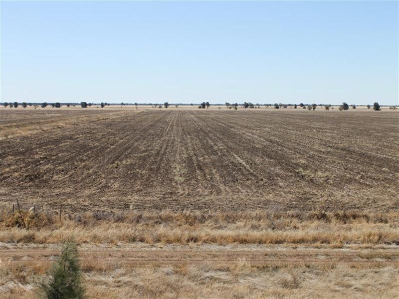 “Maranoa” Station, Collie NSW 2827