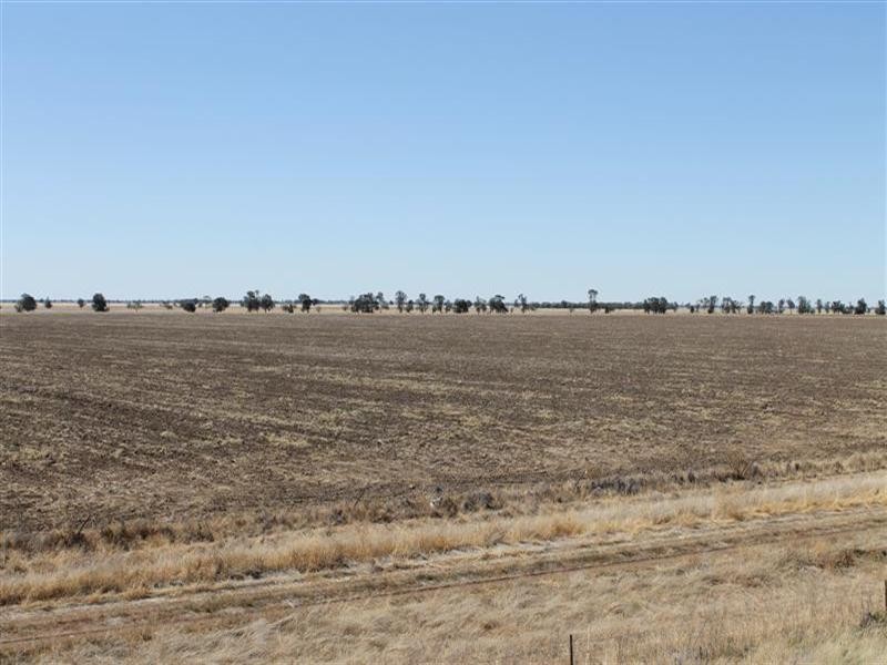 “Maranoa” Station, Collie NSW 2827