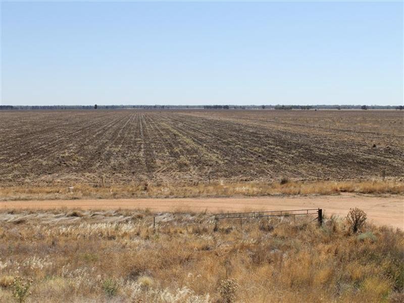 “Maranoa” Station, Collie NSW 2827