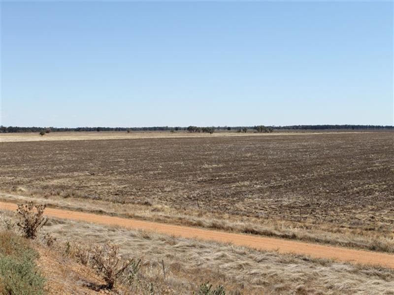 “Maranoa” Station, Collie NSW 2827