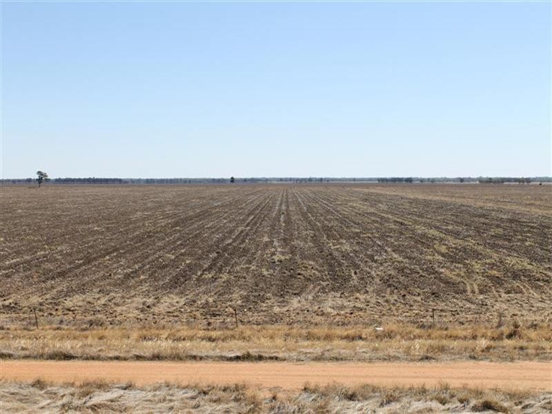 “Maranoa” Station, Collie NSW 2827