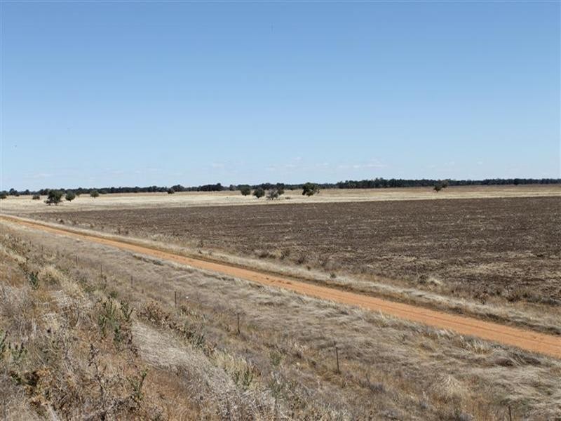 “Maranoa” Station, Collie NSW 2827