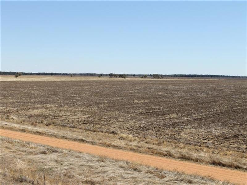 “Maranoa” Station, Collie NSW 2827