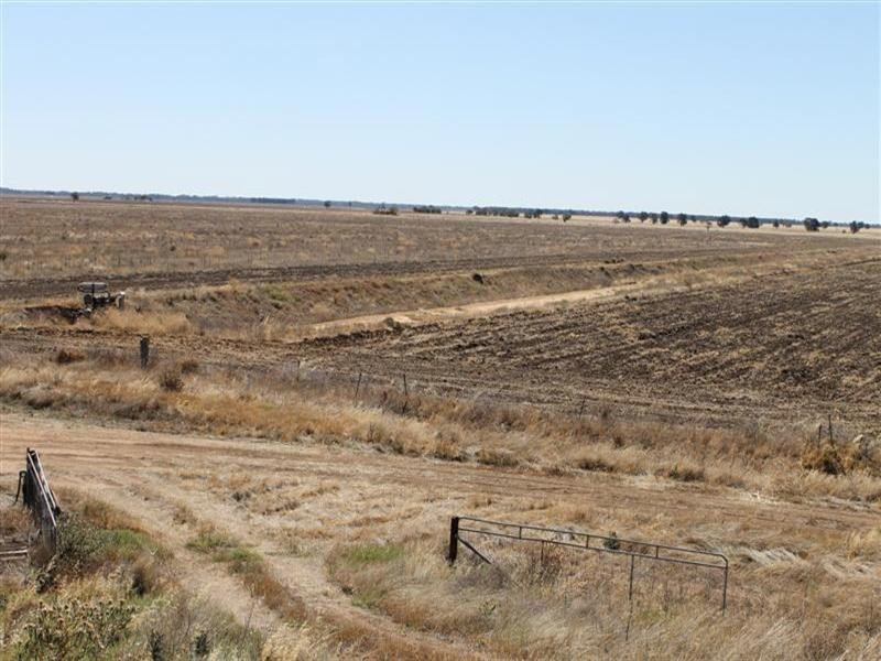 “Maranoa” Station, Collie NSW 2827