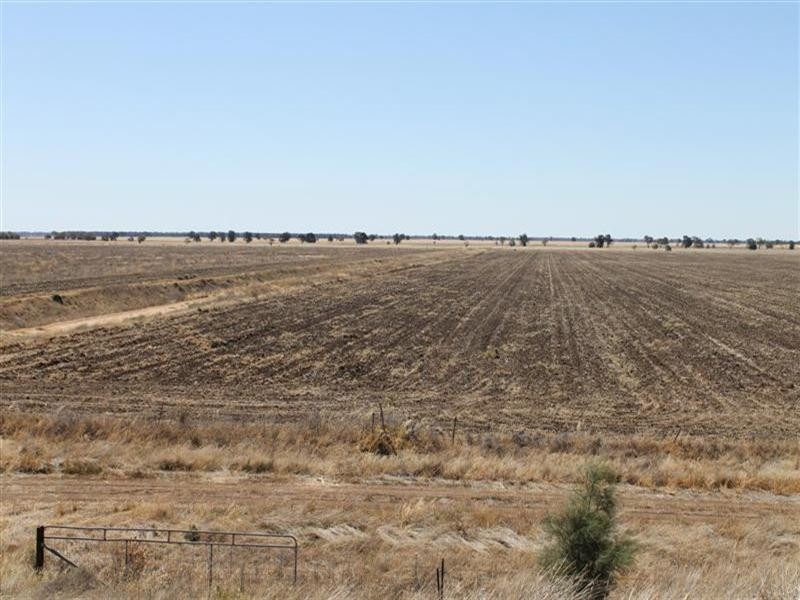 “Maranoa” Station, Collie NSW 2827