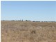 “Maranoa” Station, Collie NSW 2827