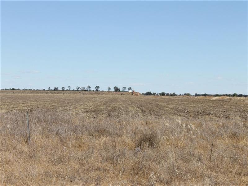 “Maranoa” Station, Collie NSW 2827