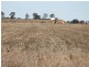 “Maranoa” Station, Collie NSW 2827