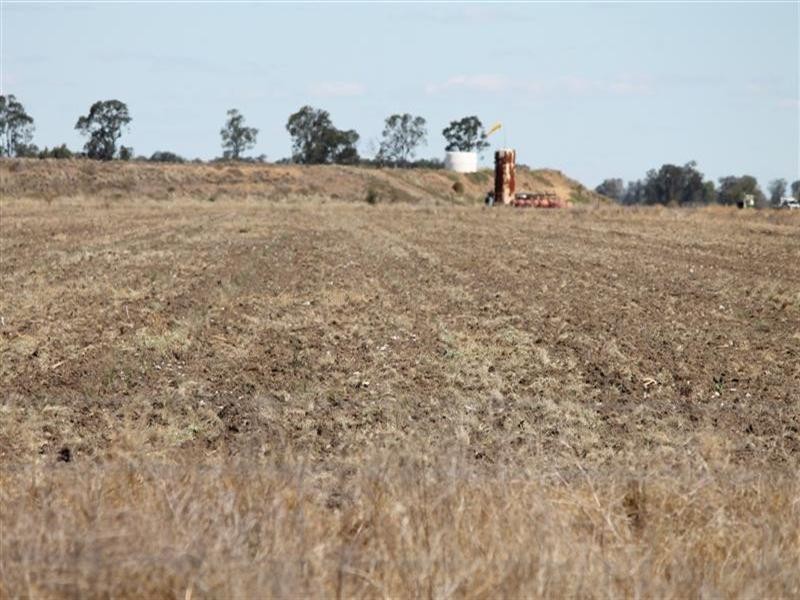 “Maranoa” Station, Collie NSW 2827