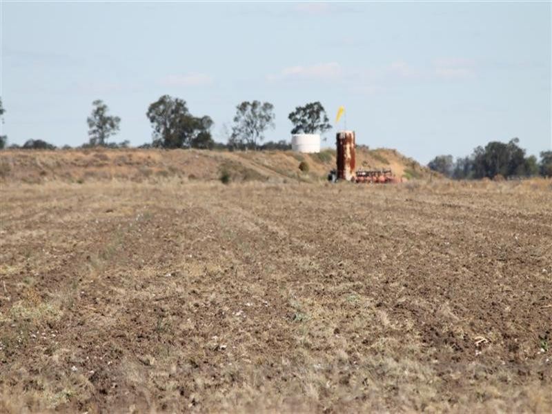 “Maranoa” Station, Collie NSW 2827