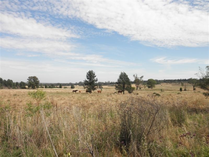 22R Sappa Bulga Road, Dubbo NSW 2830