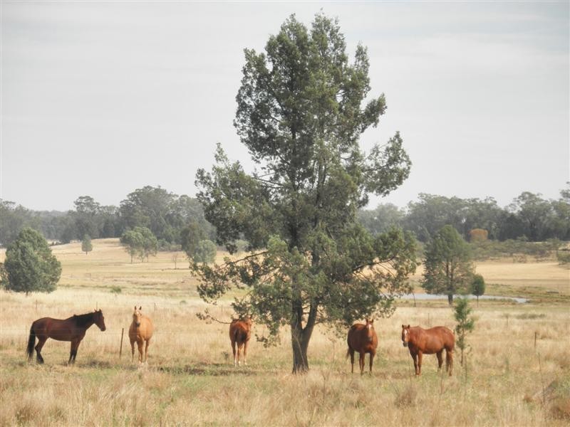 22R Sappa Bulga Road, Dubbo NSW 2830