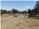 The Rock Homestead, Coolah NSW 2843