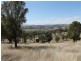The Rock Homestead, Coolah NSW 2843