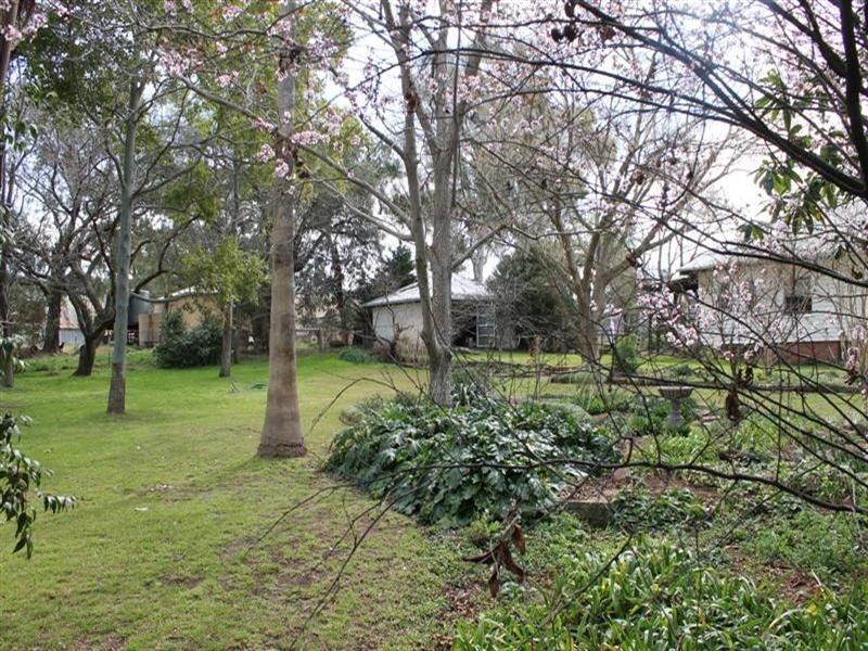 The Rock Homestead, Coolah NSW 2843