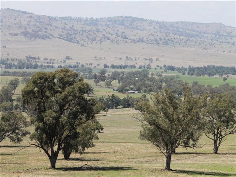 “Winooka” Gundare Road, Coolah NSW 2843