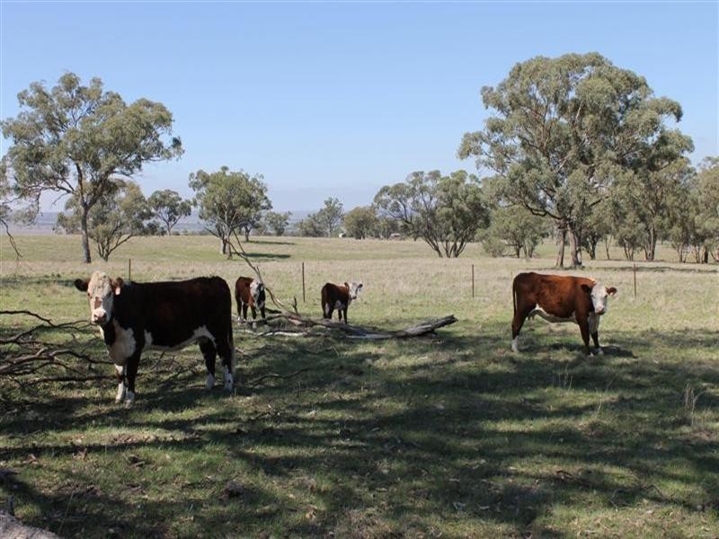 “Winooka” Gundare Road, Coolah NSW 2843