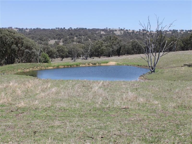 “Winooka” Gundare Road, Coolah NSW 2843