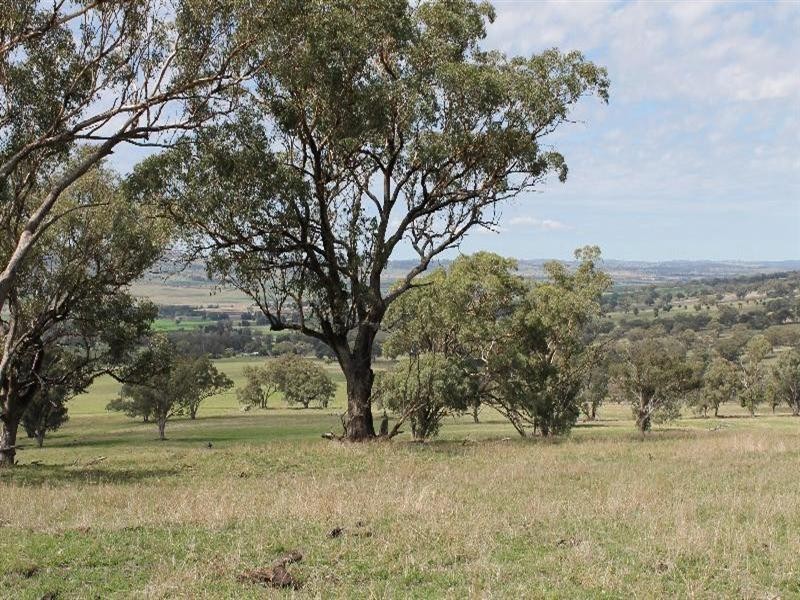 “Winooka” Gundare Road, Coolah NSW 2843